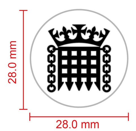 HM Customs & Excise Lapel Pin