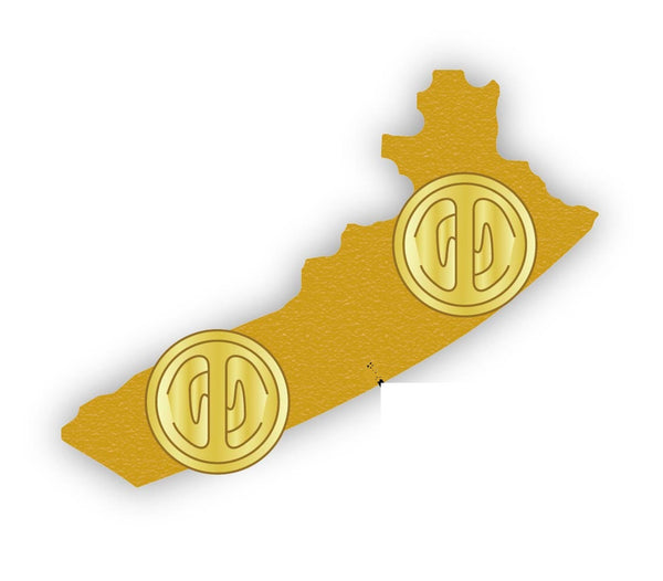 Amazon Class Type 21 Frigate Royal Navy Ship Lapel Pin Military