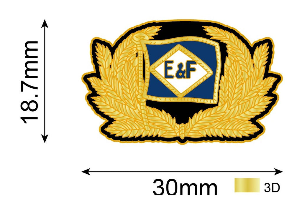 Fyffes Lines Elders & Fyffes Ltd Shipping Company Lapel Pin Military