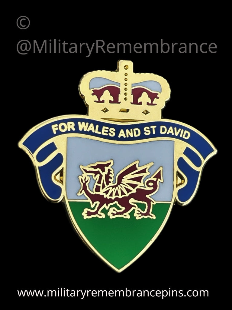 For Wales & Saint David Lapel Pin Military Remembrance Pins