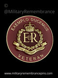 Royal Military Police Veteran Colours Lapel Pin
