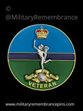 Royal Corps Of Signals Veteran Colours Lapel Pin